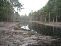 A1160 Strijbeek Hondsdonk Valkenberg 066 Meer GPS wandelingen kunt u vinden op  www.gpswalking.nl